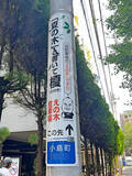 「調布市の小学生は電柱広告に夢中?! 通学路に「難読漢字クイズ」など駐車場オーナーが仕掛ける地域貢献アイデアがおもしろすぎる　」の画像15
