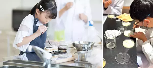 「つくば、「SUUMO住みたい街ランキング2026」で過去最高位！人口増加率全国3位、親子で学び成長できる研究学園都市の底力」の画像