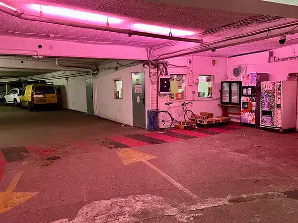 「パリの地下駐車場「麻薬の溜まり場」が年間30トンのキノコ農園に！ 若者の”車離れ”逆手に、都市農業なぜ大成功？」の画像