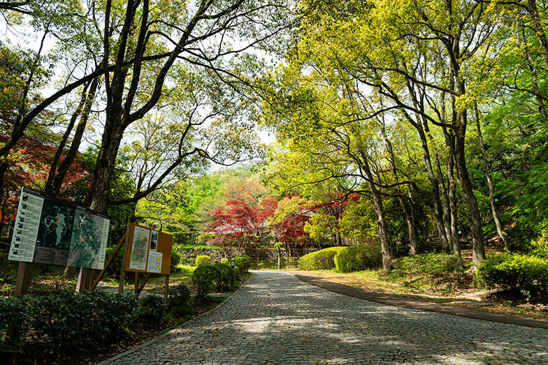 【2025年】小田急電鉄沿線、家賃相場が安い駅ランキング！ 1位は4万台、TOP15は5万円以下