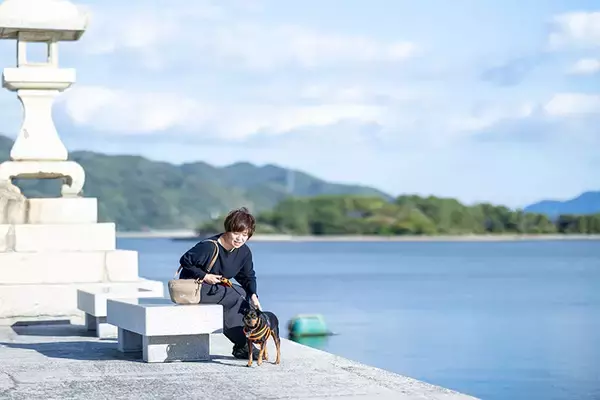 「「実家どうする？→民泊」の選択肢、自宅兼ゲストハウスにリノベ。二拠点生活で”帰りたくなる”まちづくりにも積極参加　山口県光市」の画像