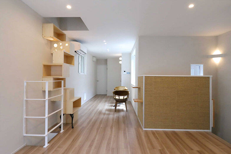 「猫を飼わない人は入居お断り」多頭飼い大歓迎！ 保護猫36匹を救った不動産屋の“究極の猫ファースト”家づくりが話題　大阪「ねこ大家」