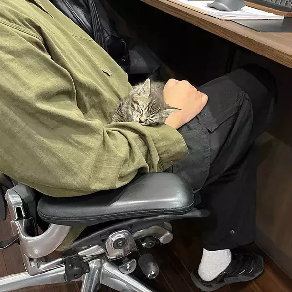 「「猫を飼わない人は入居お断り」多頭飼い大歓迎！ 保護猫36匹を救った不動産屋の“究極の猫ファースト”家づくりが話題　大阪「ねこ大家」」の画像