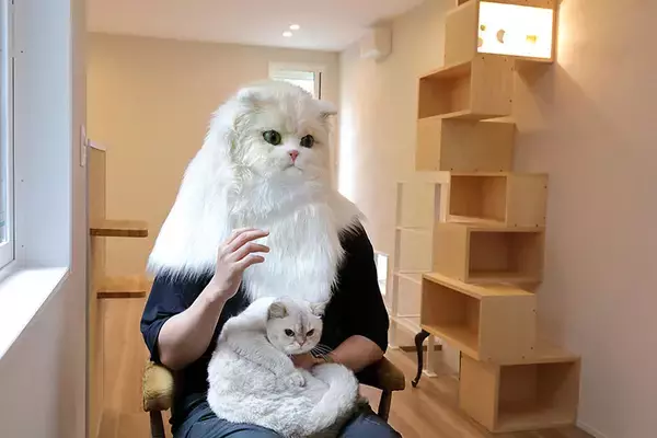 「「猫を飼わない人は入居お断り」多頭飼い大歓迎！ 保護猫36匹を救った不動産屋の“究極の猫ファースト”家づくりが話題　大阪「ねこ大家」」の画像