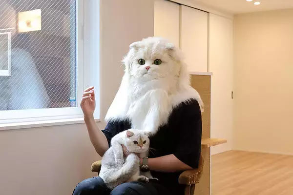 「「猫を飼わない人は入居お断り」多頭飼い大歓迎！ 保護猫36匹を救った不動産屋の“究極の猫ファースト”家づくりが話題　大阪「ねこ大家」」の画像