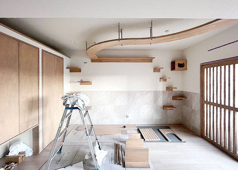 「猫を飼わない人は入居お断り」多頭飼い大歓迎！ 保護猫36匹を救った不動産屋の“究極の猫ファースト”家づくりが話題　大阪「ねこ大家」