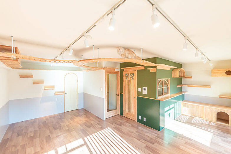 「猫を飼わない人は入居お断り」多頭飼い大歓迎！ 保護猫36匹を救った不動産屋の“究極の猫ファースト”家づくりが話題　大阪「ねこ大家」