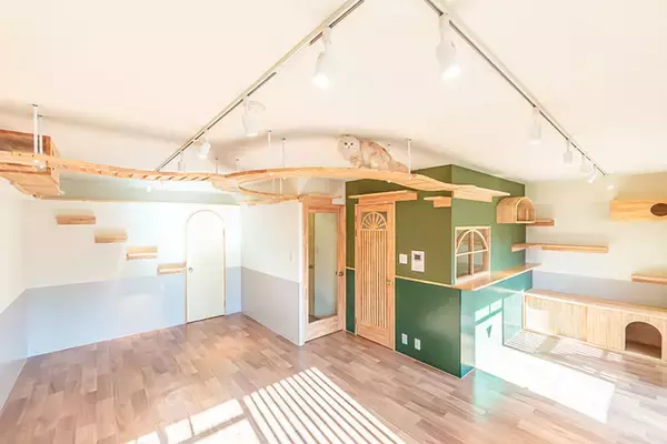 「「猫を飼わない人は入居お断り」多頭飼い大歓迎！ 保護猫36匹を救った不動産屋の“究極の猫ファースト”家づくりが話題　大阪「ねこ大家」」の画像