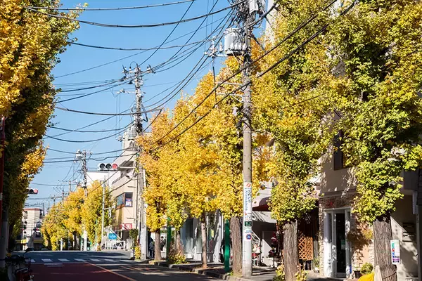 「【慶應義塾大学】一人暮らし賃貸の家賃相場ランキング2026年！ 日吉＆三田キャンパス周辺のクチコミ＆オススメ情報」の画像