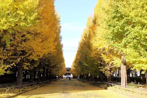 「【慶應義塾大学】一人暮らし賃貸の家賃相場ランキング2026年！ 日吉＆三田キャンパス周辺のクチコミ＆オススメ情報」の画像