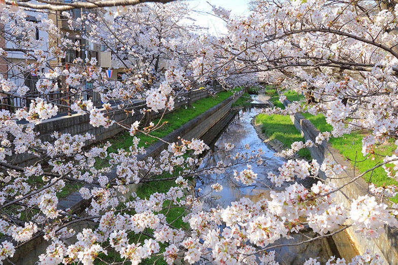 【慶應義塾大学】一人暮らし賃貸の家賃相場ランキング2026年！ 日吉＆三田キャンパス周辺のクチコミ＆オススメ情報