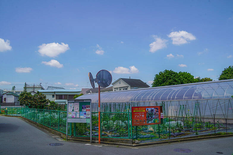 「住み続けたい街ランキング」でも注目の東京ノース！ 穴場「桜台」にみる都心高騰に負けない豊かな街選び