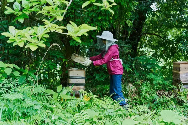 「【二拠点生活19年目】馬場未織さん、子3人連れて通い続けた南房総との関わり、親子で自然楽しんだ幼少期→子の思春期を経て見えたもの」の画像