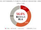 「「冷房だけでは限界」が約6割。東京都の意識調査から見えた、酷暑を乗り切る「断熱リフォーム」の必要性。助成制度も解説」の画像4