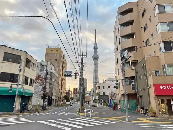 「「屋外卓球台」で下町商店街の空き地が激変！ 多世代入り混じる遊び場へ。チーム対抗戦を見ながら話を聞いてきた　墨田区京島」の画像