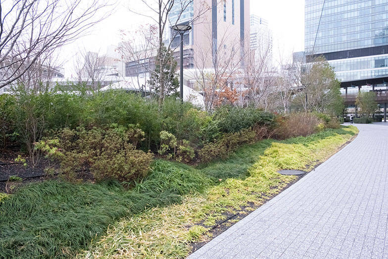 「関西最後の一等地」になぜ巨大公園を？ 駅直結4.5ha「グラングリーン大阪」が挑む、エリア全体の価値を高めるまちづくり戦略