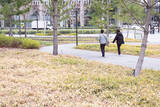 「「関西最後の一等地」になぜ巨大公園を？ 駅直結4.5ha「グラングリーン大阪」が挑む、エリア全体の価値を高めるまちづくり戦略」の画像9