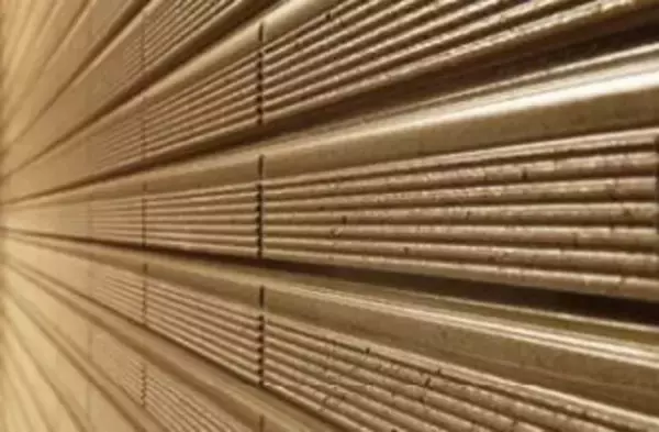 「積水ハウス、木造住宅「グラヴィス リアン（凛庵）」販売開始」の画像