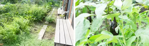 「68~83歳が7人で暮らす、グループリビングという暮らし方」の画像