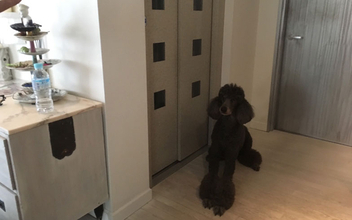 押入れを、ホームエレベーターにリフォーム！　人も犬も将来安心