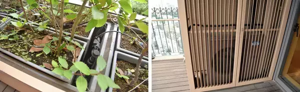 「家賃150万超えの超高級賃貸マンションを内見してみた」の画像