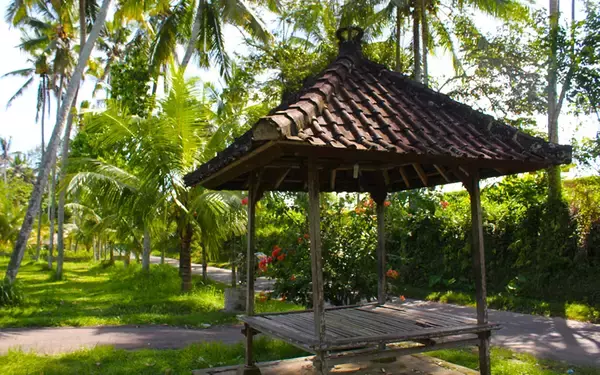 「海外リモートワークの最先端[中] プール付き豪邸が家賃11万円」の画像