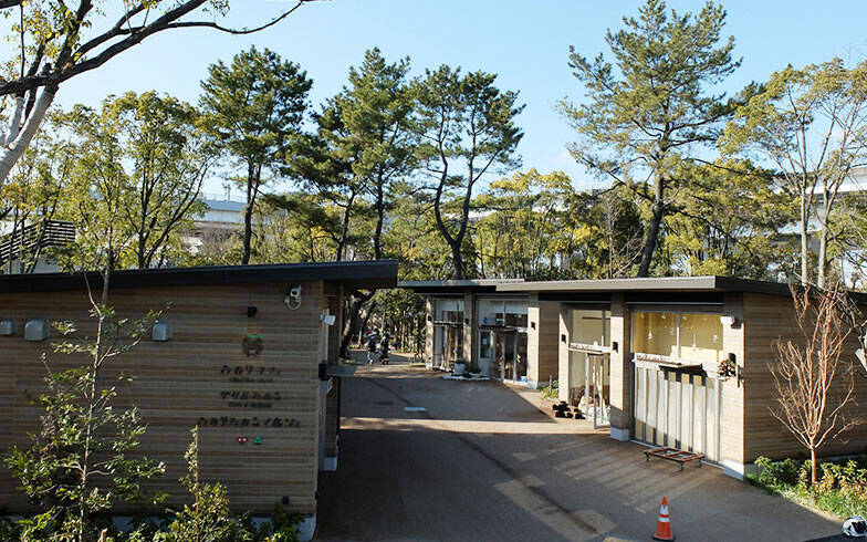 「魅力のない都市」から脱却!? 名古屋に「レゴランド（R）」と「メイカーズ ピア」がオープン