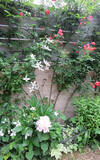 「「オープンガーデン」ですてきなお庭を訪問！ 花を通じて人生が豊かに」の画像9