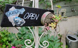 「「オープンガーデン」ですてきなお庭を訪問！ 花を通じて人生が豊かに」の画像1