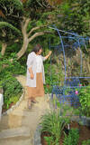 「「オープンガーデン」ですてきなお庭を訪問！ 花を通じて人生が豊かに」の画像11