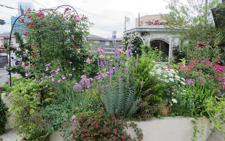「オープンガーデン」ですてきなお庭を訪問！ 花を通じて人生が豊かに