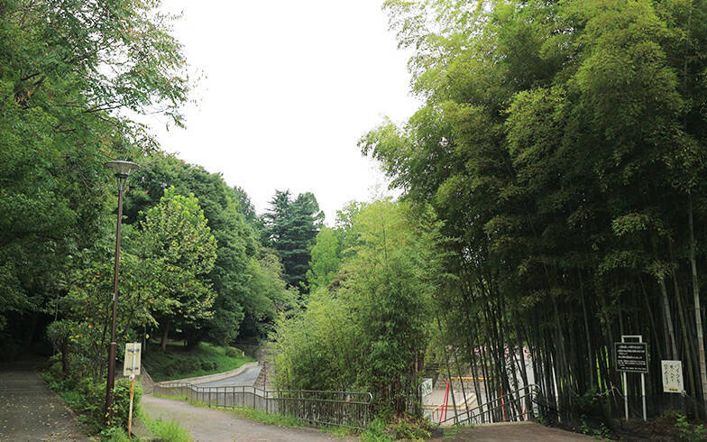 「池袋駅」まで自転車15分で行くならどこに住めばいい？ 家賃相場はどのくらい？