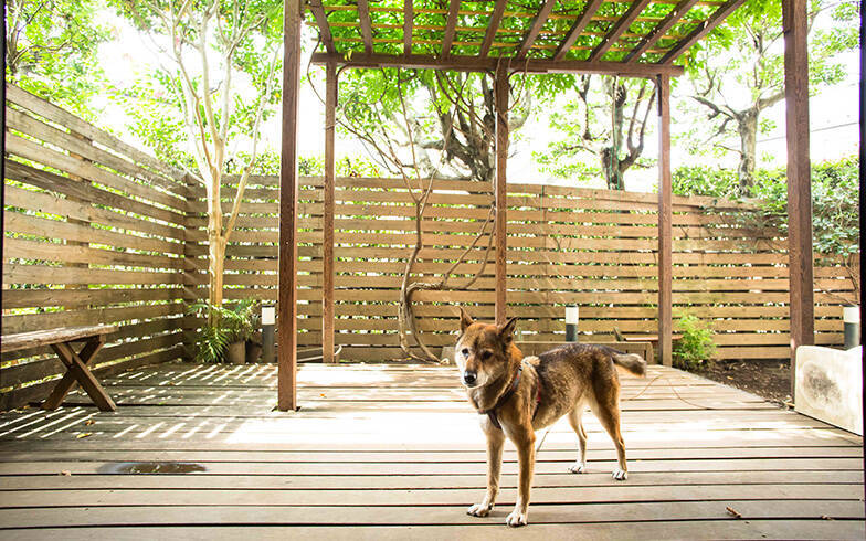 あの人のお宅拝見[5] 藤原和博校長「家は生活の舞台」、著書『建てどき』から築17年の自邸を振り返る