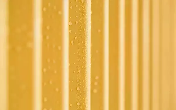 「あの人のお宅拝見[5] 藤原和博校長「家は生活の舞台」、著書『建てどき』から築17年の自邸を振り返る」の画像