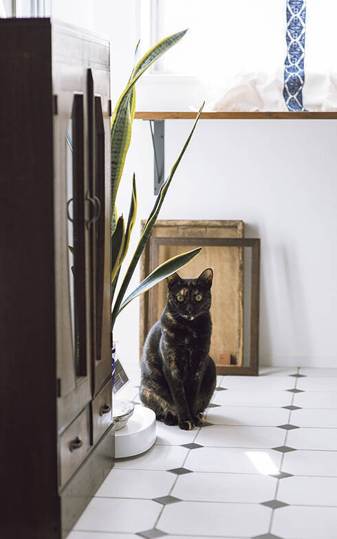 中古リノベを選ぶ独身女性が増加中！ リノベ女子の暮らしとは