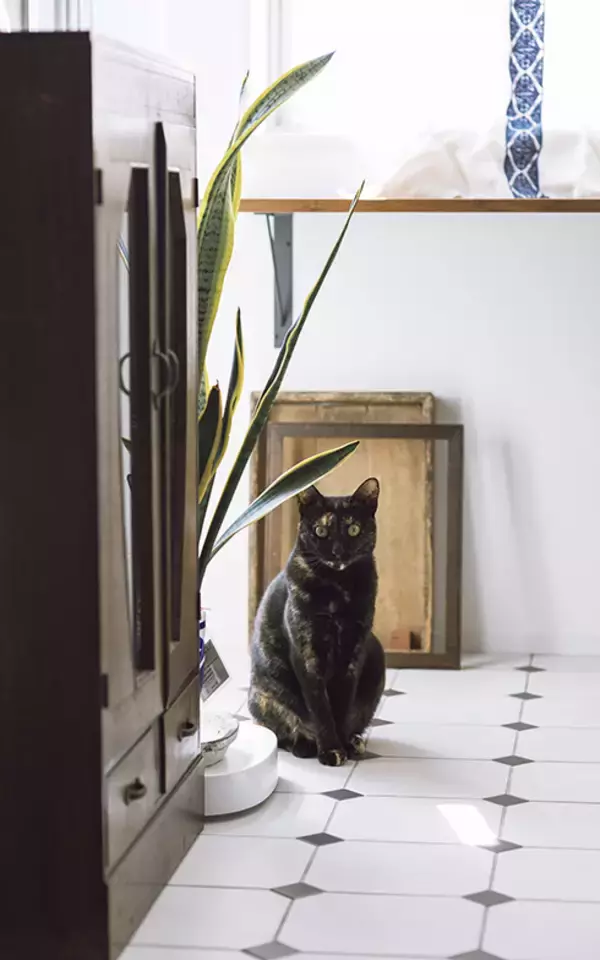 「中古リノベを選ぶ独身女性が増加中！ リノベ女子の暮らしとは」の画像