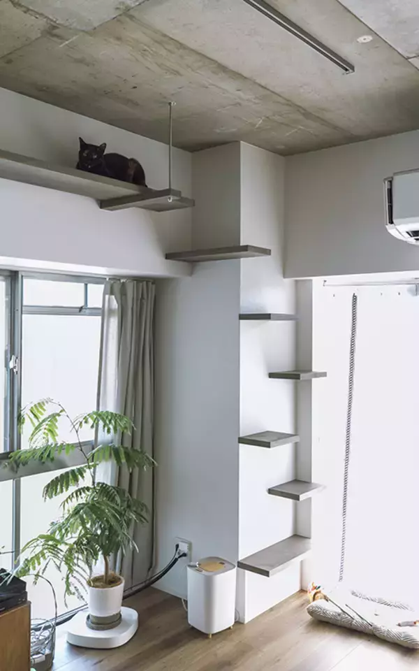 「中古リノベを選ぶ独身女性が増加中！ リノベ女子の暮らしとは」の画像