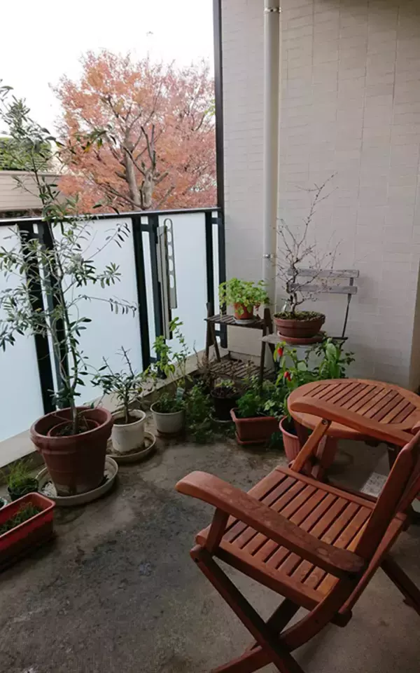 「近代建築の巨匠ミースに師事した父とその娘、職住近接＋αによって生まれた新たな幸福 　あの人のお宅拝見[12]」の画像