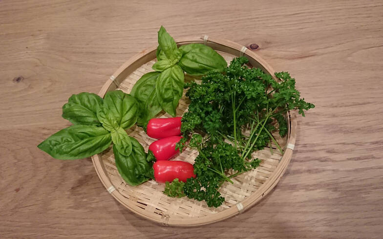 近代建築の巨匠ミースに師事した父とその娘、職住近接＋αによって生まれた新たな幸福 　あの人のお宅拝見[12]