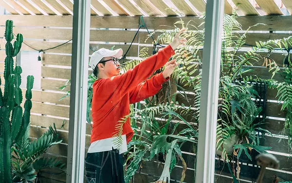 「台湾の家と暮らし[2] 植物好きクリエイター男子が住む、広々テラスの贅沢屋上ワンルーム in台北」の画像