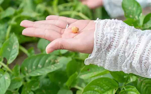 「ローカルで長屋暮らし。福岡県八女市で賃貸住宅「里山ながや・星野川」を選んだ人たちに起きたこと」の画像
