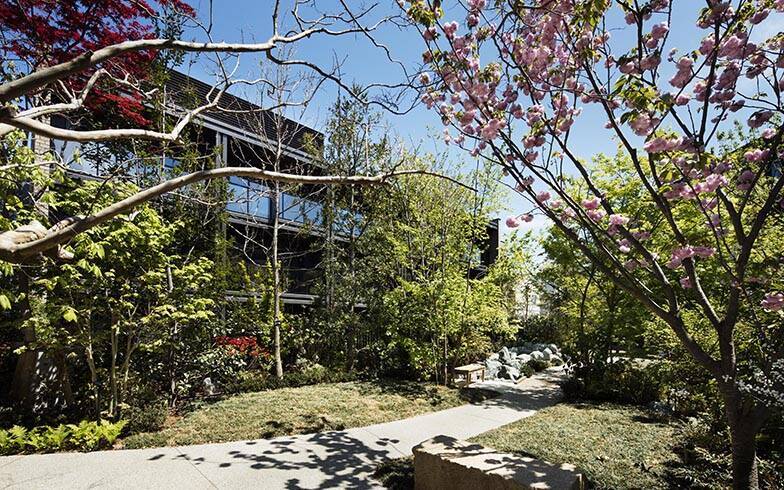 サ高住 パークウェルステイト浜田山 が追求する理想的な終の棲家とは 人生100年時代 の最新住宅事情 19年6月日 エキサイトニュース