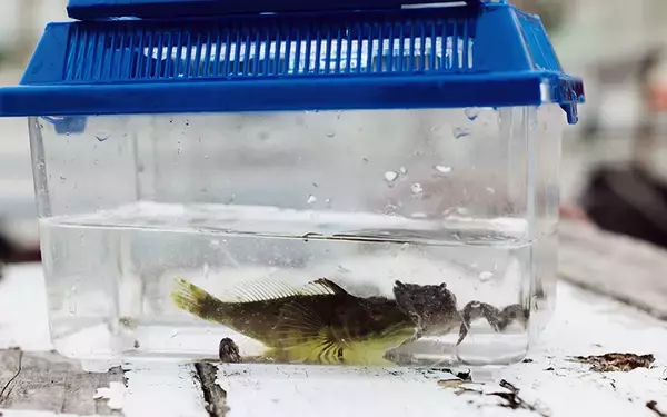 「デュアルライフ・二拠点生活[12] 新鮮マグロに採れたて野菜。5組11人が集う三崎港ビューの“シェア別荘”とは？」の画像