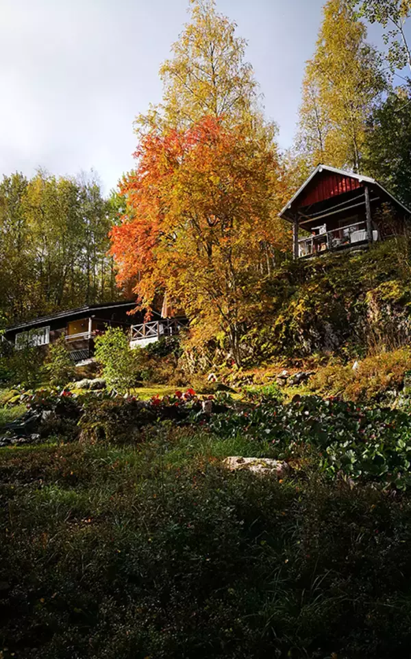 「二拠点生活（デュアルライフ）は日本で定着する？ 先進国・フィンランドの暮らしを訪ねた」の画像