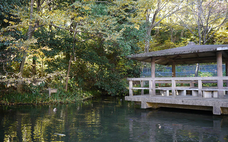 JR中央線・快速停車駅の中古マンション価格相場が安い駅ランキング 2020年版