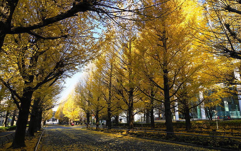 渋谷駅まで電車で30分以内、中古マンション価格相場が安い駅ランキング 2020年版