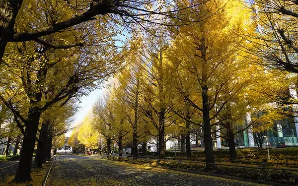 「渋谷駅まで電車で30分以内、中古マンション価格相場が安い駅ランキング 2020年版」の画像