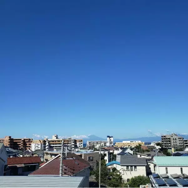 「テレワークが変えた暮らし【10】理想を求めて葉山へ。社会活動「スポーツを止めるな」もスタート」の画像