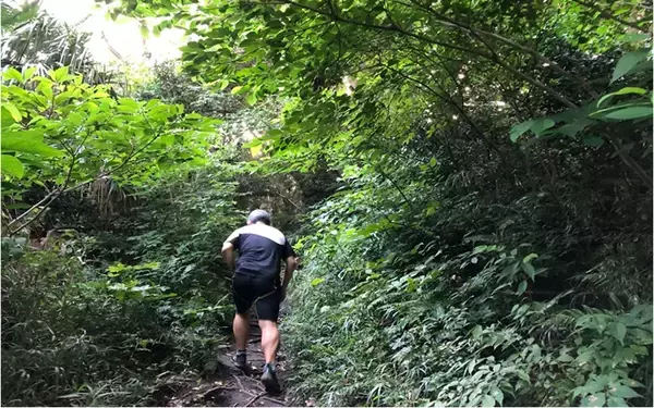 「テレワークが変えた暮らし【10】理想を求めて葉山へ。社会活動「スポーツを止めるな」もスタート」の画像