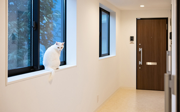 保護猫と暮らす三軒茶屋の「サンチャコ」。地域と人とを結ぶ新しい暮らし方